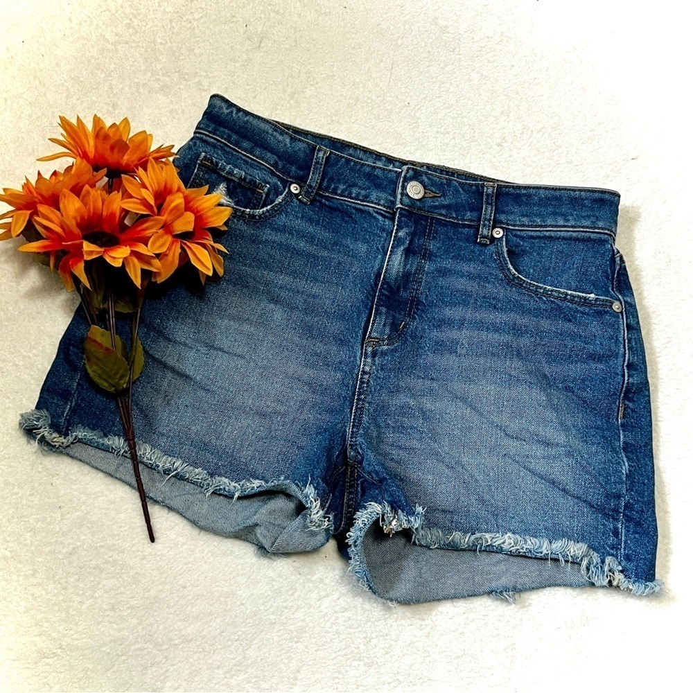 LOFT High Waisted Mom Jean Denim Shorts - 2/26 (measures 29")